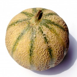 Melon charentais - france