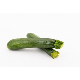 Courgette - italie