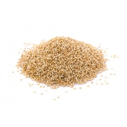 Quinoa real blanche